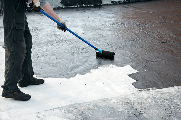 Best Concrete Removal and Replacement in University, FL